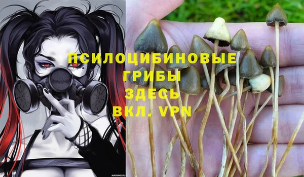 соль курить ск Алексеевка