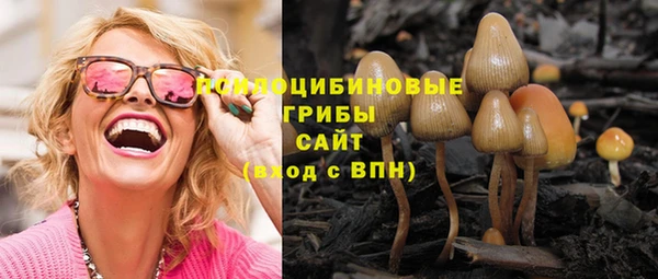 соль курить ск Алексеевка