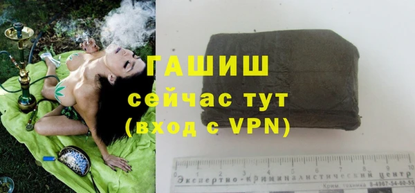 крисы Алзамай