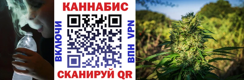 где можно купить   Крымск  Шишки марихуана индика 